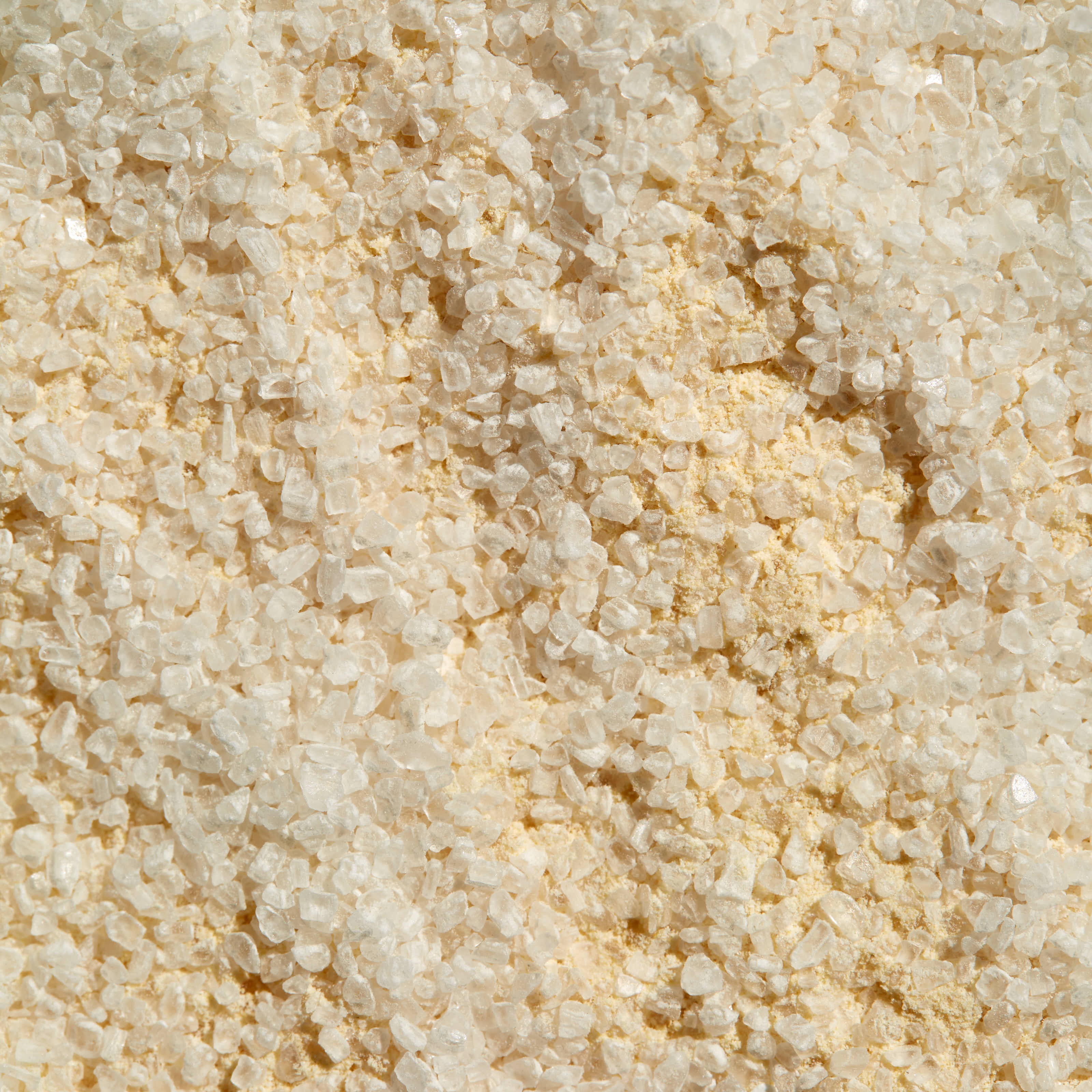 Roasted Garlic Sea Salt Success